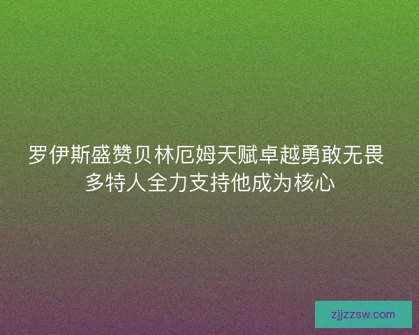 罗伊斯盛赞贝林厄姆天赋卓越勇敢无畏 多特人全力支持他成为核心